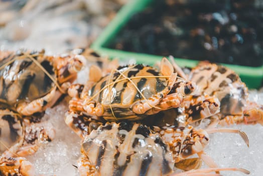 Fresh raw sea flower crab (portunus pelagicus) premium grade display for sale at seafood market or Thai street food use for cook steamed blanched crab