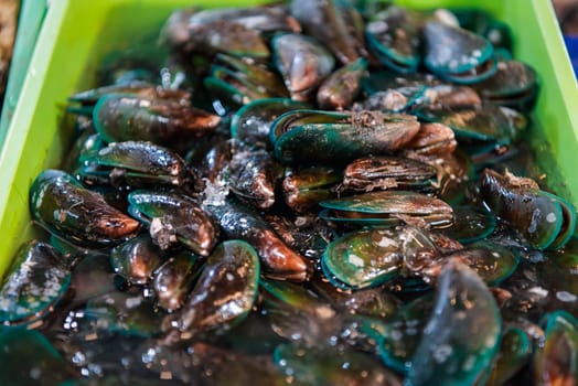 Fresh raw sea mussels clams display for sale at seafood market or Thai street food use for cook steamed blanched mussels clams