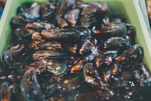 Fresh raw sea mussels clams display for sale at seafood market or Thai street food use for cook steamed blanched mussels clams