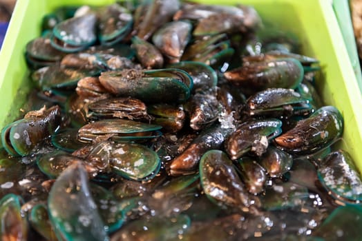 Fresh raw sea mussels clams display for sale at seafood market or Thai street food use for cook steamed blanched mussels clams