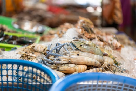 Fresh raw shrimp (Giant freshwater prawn) premium grade can cook to grilled shrimp by grilling with charcoal display for sale at Thai street food market or restaurant in Bangkok Thailand