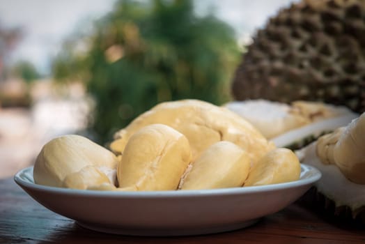 Durian is a king of fruit in Thailand and asia fruit have a spikes shell and sweet can buy at Thai street food and fruit market at agriculture farm