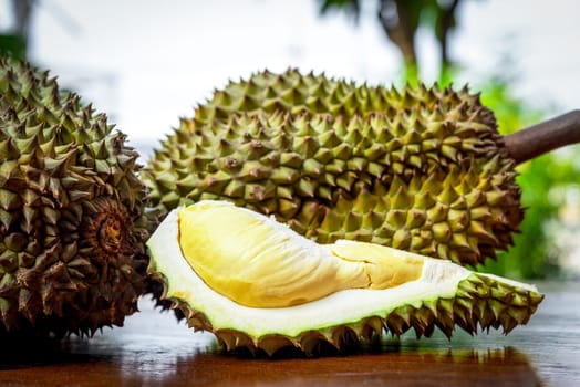 Durian is a king of fruit in Thailand and asia fruit have a spikes shell and sweet can buy at Thai street food and fruit market at agriculture farm