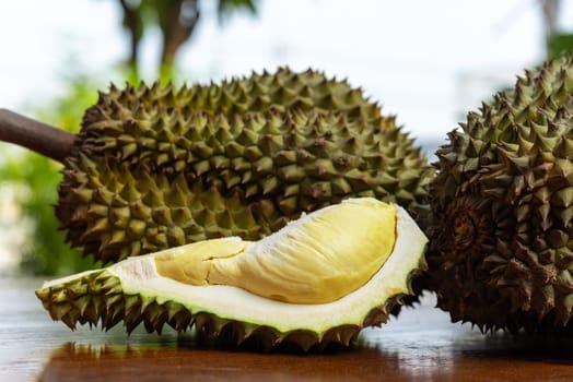 Durian is a king of fruit in Thailand and asia fruit have a spikes shell and sweet can buy at Thai street food and fruit market at agriculture farm