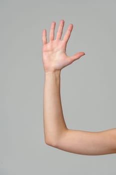 Open palm of a female hand o gray background close up