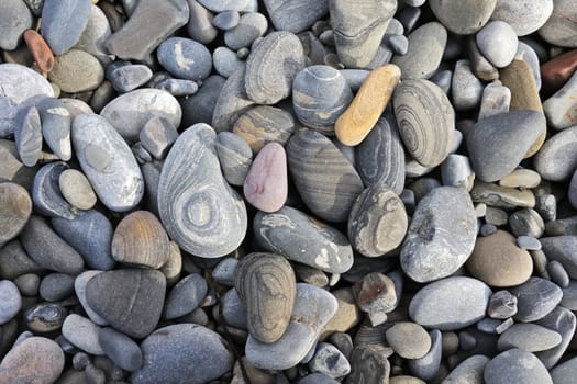 stone texture for background. Multi-colored sea stones from various rocks and minerals