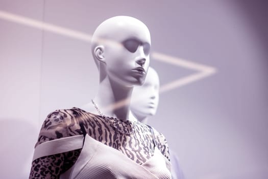 A mannequin, adorned in a stylish leopard print top, is positioned next to another mannequin. The scene exudes elements of fashion design and art in a captivating display