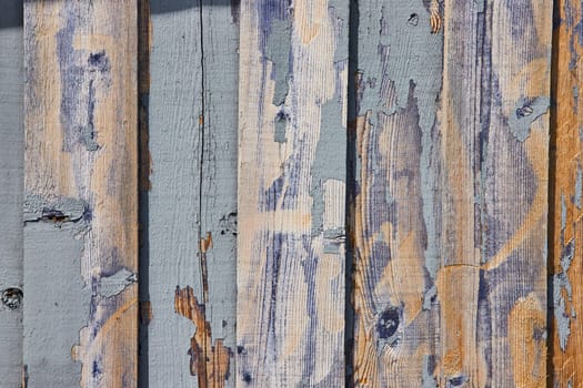 Close-up of weathered blue barnwood in Spiceland, Indiana, showcasing rustic texture and time's relentless passage