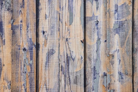 Close-up of weathered, rustic barnwood fence from Spiceland, Indiana, showcasing the beauty of aged textures and faded blue paint remnants.