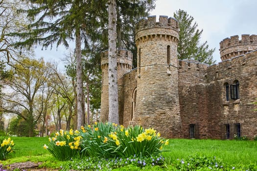 Springtime at Bishop Simon Brute College in Indianapolis, featuring a historic stone castle amidst blooming daffodils, embodying peace and serenity.