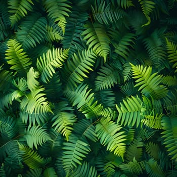 A collection of lush green fern leaves stand out against a dark background, showcasing the beauty of terrestrial plant species in their natural environment