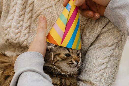 One Caucasian guy is holding a small tricolor kitten in his arms, and another man is wearing a birthday cone hat, standing in the kitchen, close-up view from below.