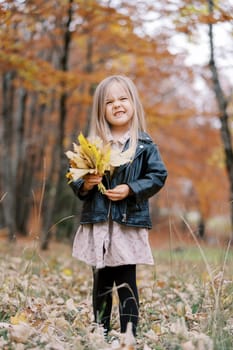 Little grimacing girl with a bouquet of yellow leaves stands in an autumn park. High quality photo