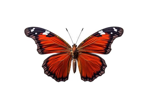 Butterfly with colorful wings isolated on white. Generative AI