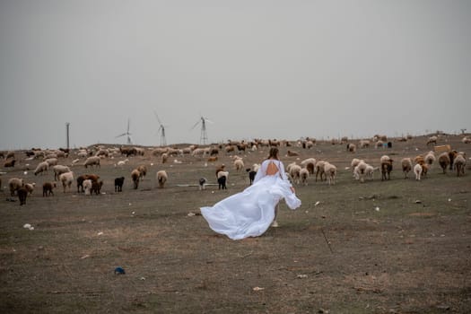 A woman in a white dress is walking through a field of cows. The cows are scattered throughout the field, with some closer to the woman and others further away. The scene has a peaceful