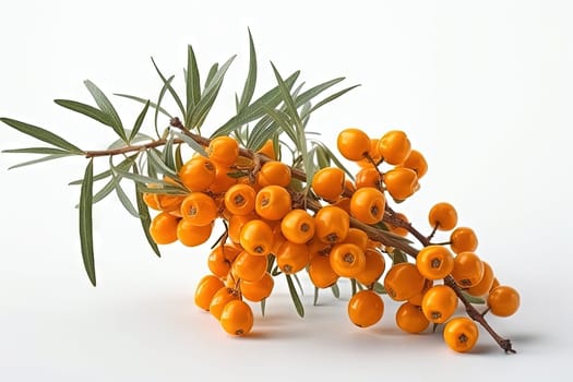 Sea buckthorn on background. Juicy orange cherry, fresh and sweet. Generated AI