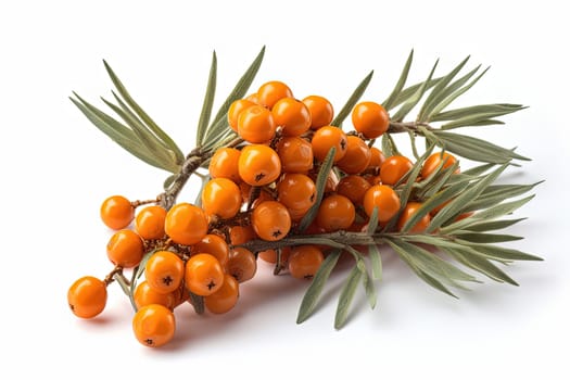 Sea buckthorn on background. Juicy orange cherry, fresh and sweet. Generated AI