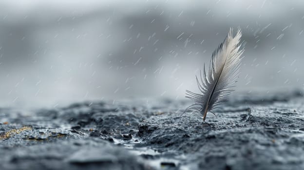 A feather laying on the ground in a puddle of water