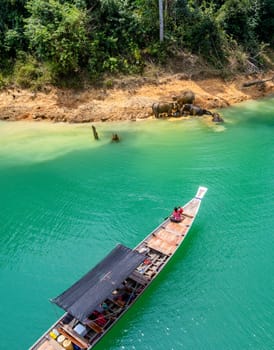 Encounter with a family of wild elephants in Khao Sok national park, on the Cheow lan lake in Surat Thani, Thailand, south east asia