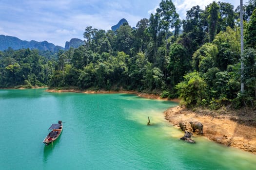 Encounter with a family of wild elephants in Khao Sok national park, on the Cheow lan lake in Surat Thani, Thailand, south east asia