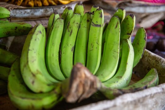 Batch of Green Bananas for sale at a market