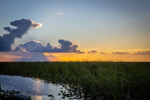 Sunset over the Everglades with Clouds in the Horizon