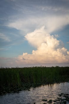 Storm in the Horizon over the Everglades shot vertically