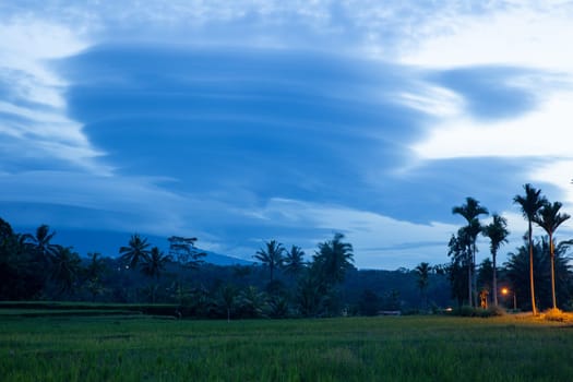 Indonesian Rice Patty in the morning with interesting clouds