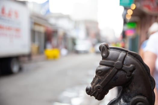 Iconic Horsehead in New Orleans with copy space