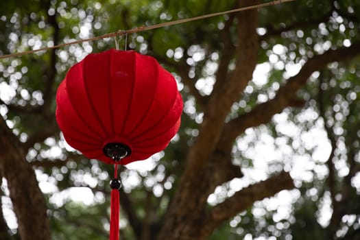 Red lantern hanging in the day at a park