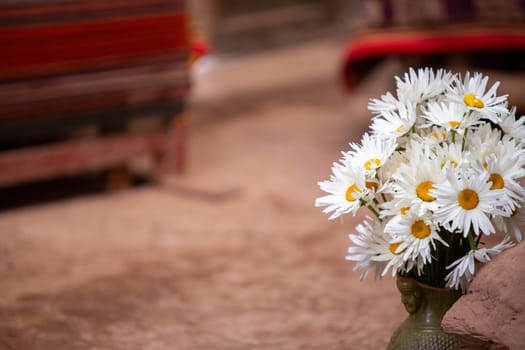 Hand picked Daisies on display at a Peruvian Village