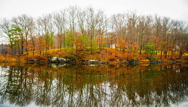 New England Autumn Trees with reflection oon the water