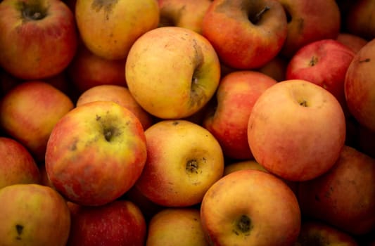 Bunch of Organic Freshly PIcked Apples