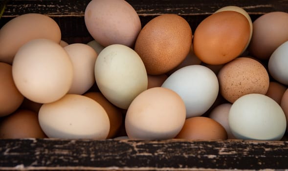 Organic Free Range Farm Fresh Chicken Eggs