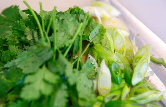 Freshed Cilantros and Green Onions