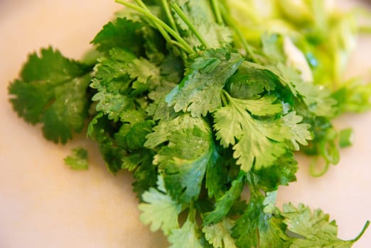 A heap of fresh cilantro