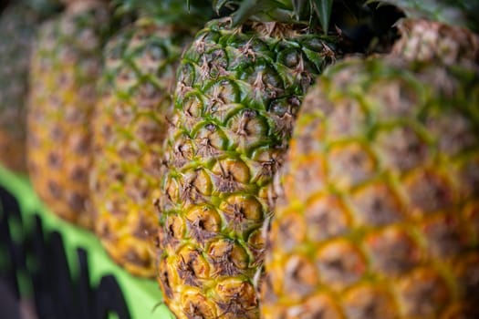 Row of Organic fresh tropical pineapples