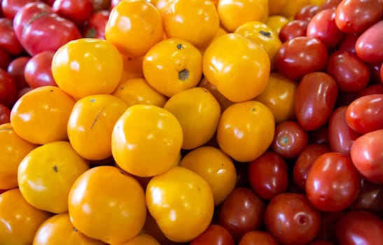 Bunch of  a variety of colorful  tomatoes