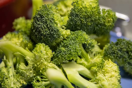 Steamed organic broccoli for dinner time