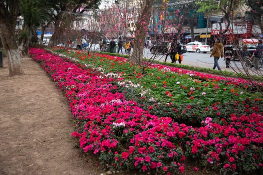A Variety Flower bed in the city of Hanoi