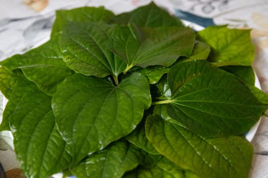 Edible Fresh Betel leaves for a celebration