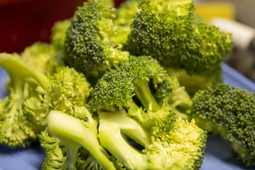 Steamed organic broccoli for dinner time