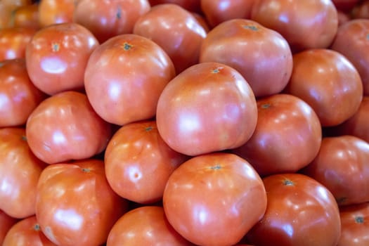 Big Red Fresh and Juicy Tomatoes