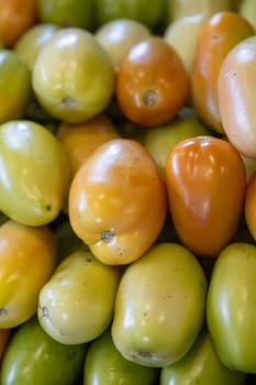Bunch of roma tomatoes at a farmers market