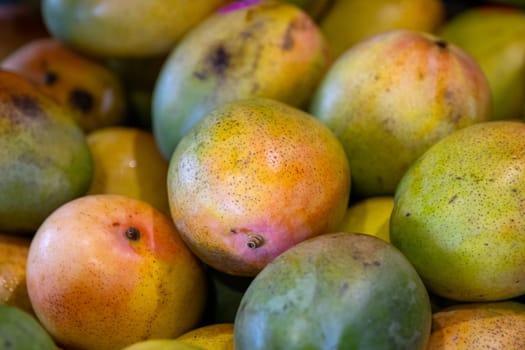 Close up Group of Colorful Mangos