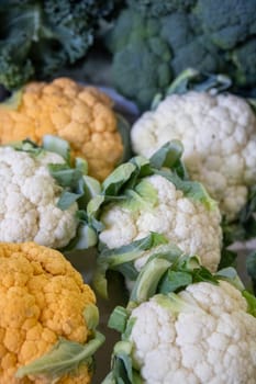 Batch of Organically grown cauliflowers