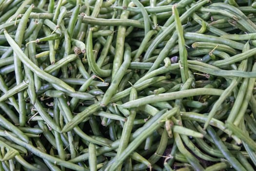 Group of String Beans for sale