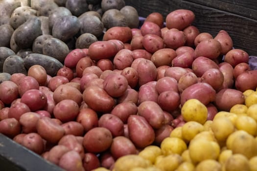 Different Selections of Potatoes, red, purple and yellow