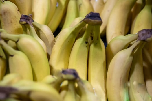 Bunch of Organically grown bananas