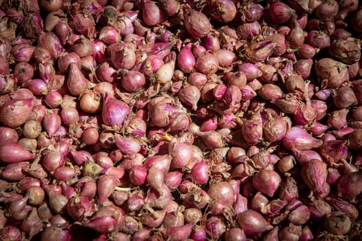 Shallots at the farmers market for sale